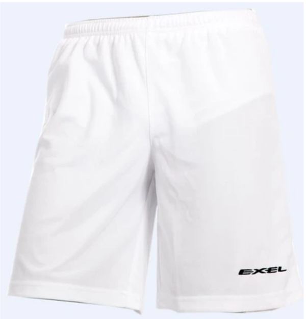 Exel Bear shorts, men's shorts